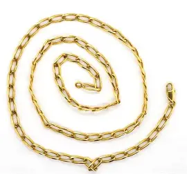 Luxe Spiral 22K Gold Chain